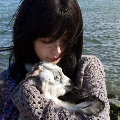 海盗岛:甲板上的家族