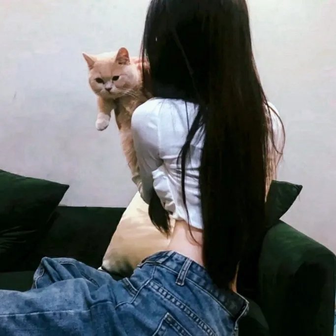 性感女勇士